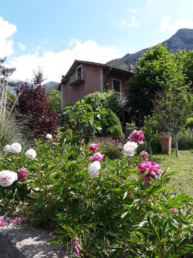 A La Belle Epoque Bed & Breakfast Valdeblore Exterior foto