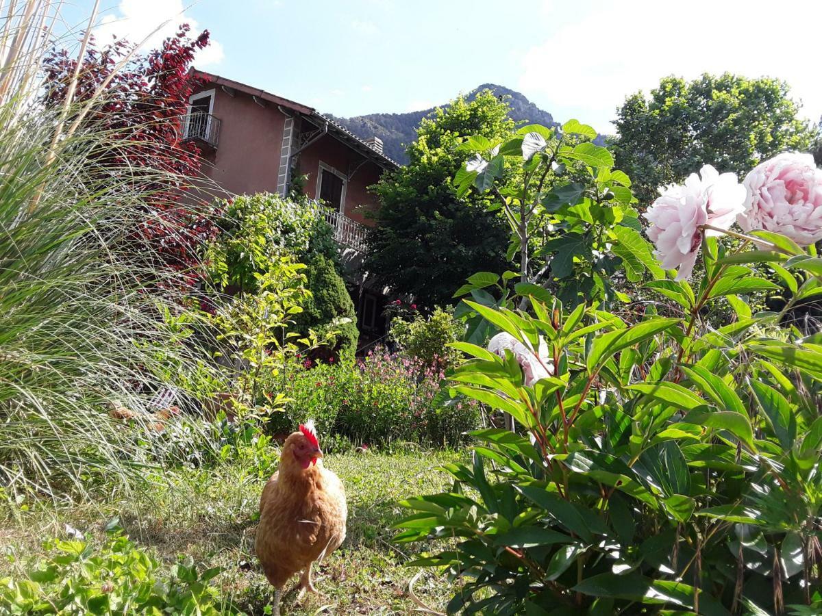 A La Belle Epoque Bed & Breakfast Valdeblore Exterior foto